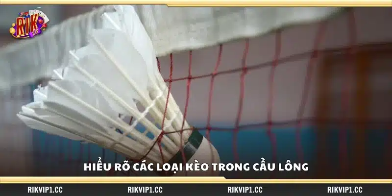 Nắm vững các hình thức kèo cược trong môn cầu lông